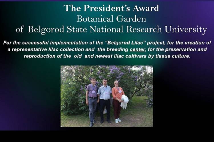Belgorod State University Botanical Garden conferred on the top award of International Lilac Society